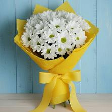 Букет цветов из:  Хризантемы в Первомайском Республики Адыгея