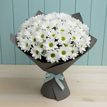 Букет цветов из:  Хризантемы #REPLACE_PRED# Первомайском Республики Адыгея