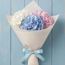 Букет цветов из:  Гортензия в Первомайском Республики Адыгея