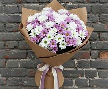 Букет цветов из:  Хризантемы в Первомайском Республики Адыгея