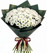 Букет цветов из:  Хризантемы в Первомайском Республики Адыгея