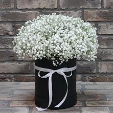 Цветочная композиция из Гипсофила в шляпной коробке в Первомайском Республики Адыгея