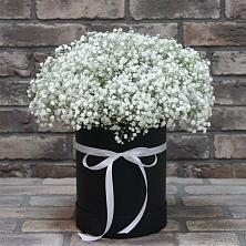 Цветочная композиция из Гипсофила в шляпной коробке в Первомайском Республики Адыгея