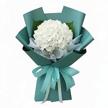Букет цветов из:  Гортензия #REPLACE_PRED# Первомайском Республики Адыгея